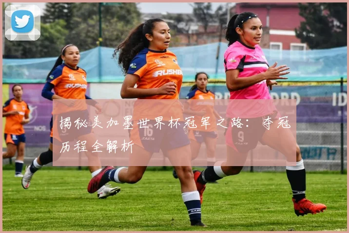 揭秘美加墨世界杯冠军之路：夺冠历程全解析